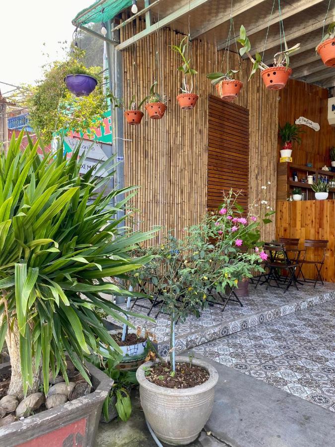 האי פונג Huong Quynh Homestay מראה חיצוני תמונה